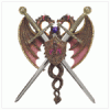 DUAL DRAGON SWORDS